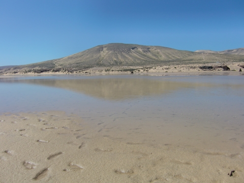 Lagune