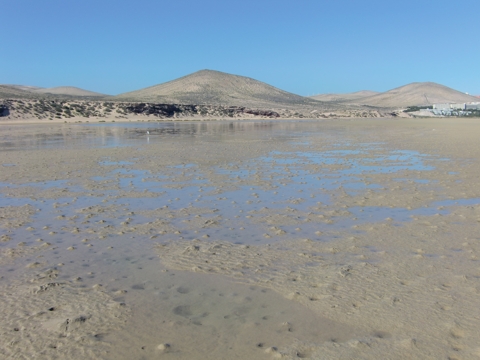 Lagune