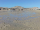 Lagune