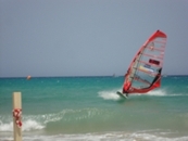 Surfer