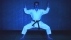 Link zur Goju-Ryu-Text