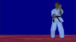 Link und Foto Karate+Ko
